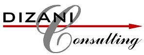 dizani consulting pic